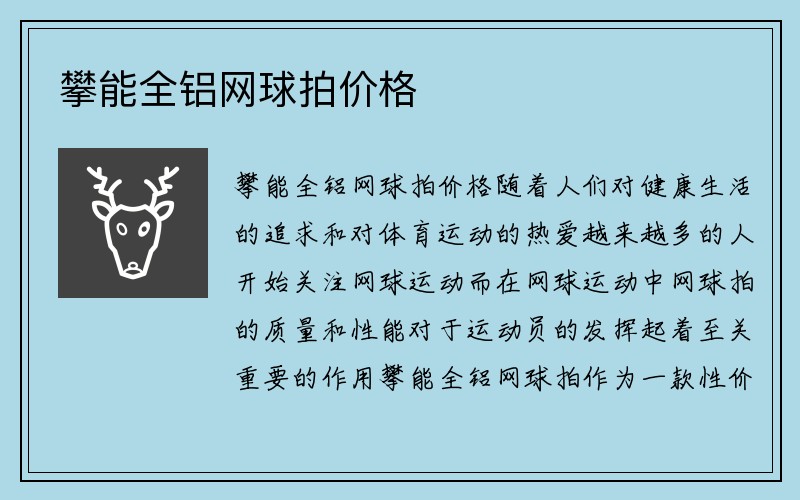 攀能全铝网球拍价格